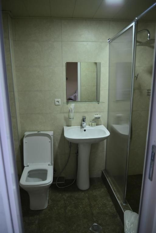 Отель Hotel Victoria Боржоми-58